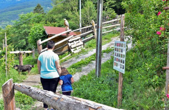 sentiero-dei-frutti-di-bosco-02