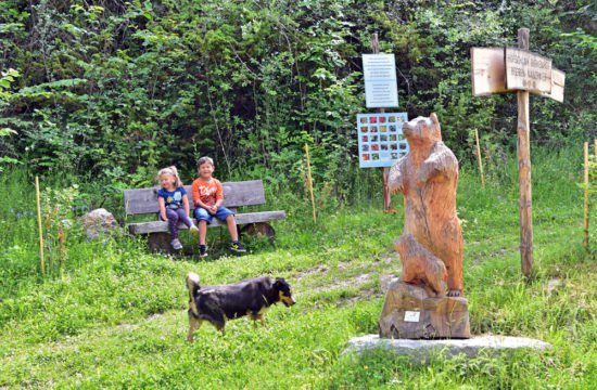 sentiero-dei-frutti-di-bosco-10