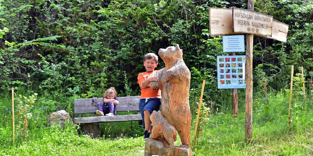 Andata alla scoperta del nostro “Sentiero dei Frutti di Bosco” – una camminata davvero golosa