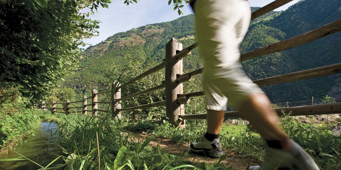 Una vacanza escursionistica lungo i Sentieri delle Rogge in Val Venosta